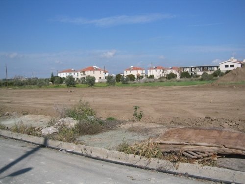 Orange Grove