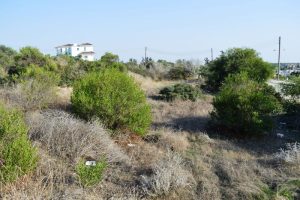 583m² Plot for Sale in Alethriko, Larnaca District