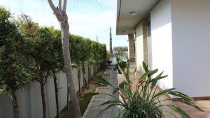 380m² Building for Sale in Paphos District