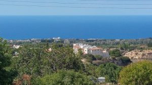 3,950m² Residential Plot for Sale in Tala, Paphos District