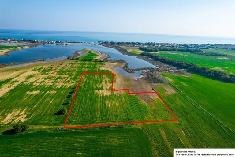 18,274m² Plot for Sale in Meneou, Larnaca District