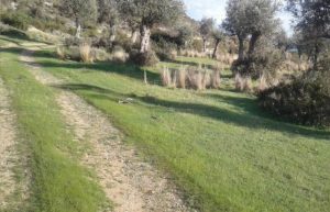 18,785m² Residential Plot for Sale in Pissouri, Limassol District