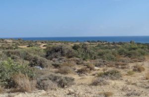 36,860m² Plot for Sale in Pissouri, Limassol District