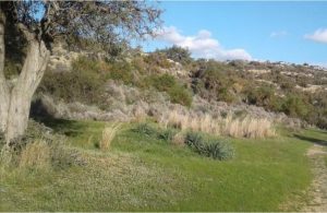 18,785m² Plot for Sale in Pissouri, Limassol District