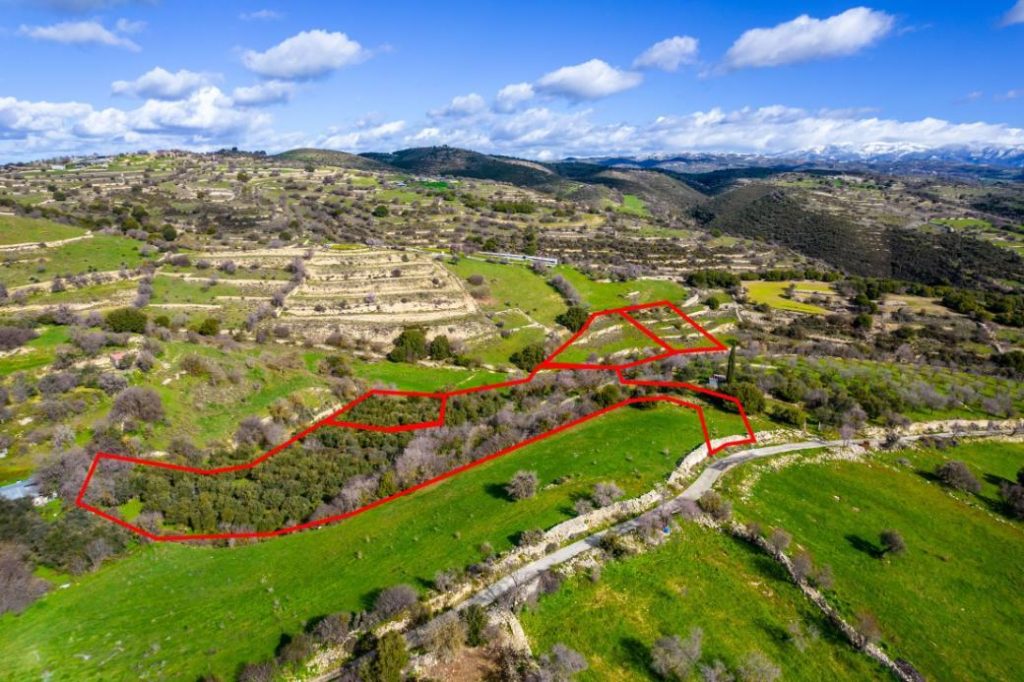 16,545m² Plot for Sale in Dora, Limassol District