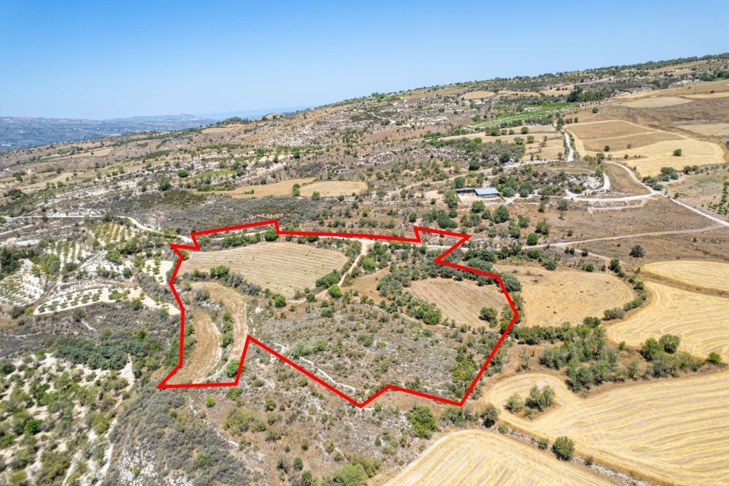 29,098m² Plot for Sale in Lasa, Paphos District