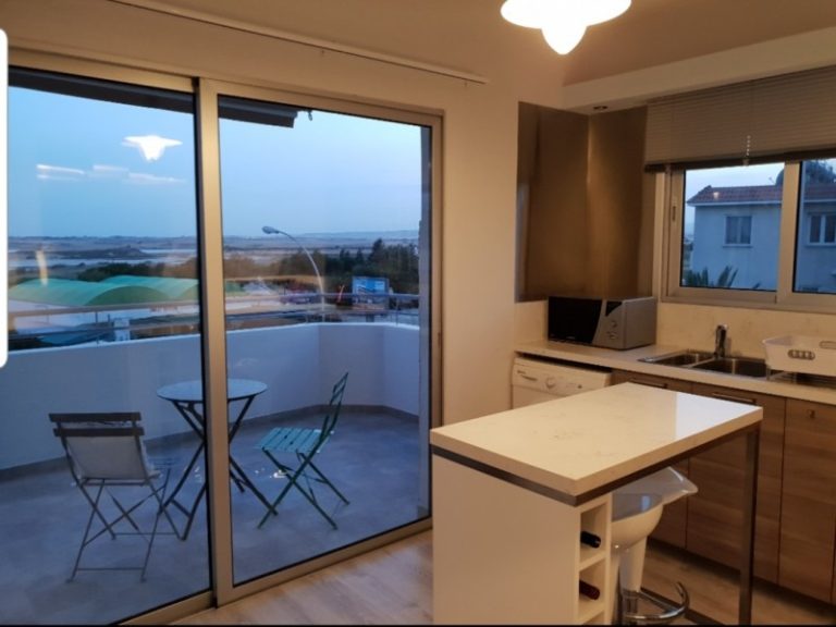 3 Bedroom Apartment for Rent in Larnaca District