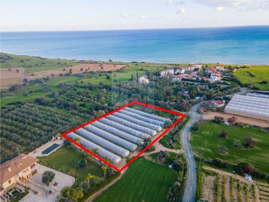 4,014m² Plot for Sale in Paphos – Agios Theodoros, Larnaca District