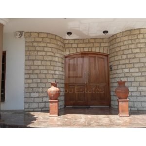 6+ Bedroom House for Sale in Limassol – Panthea