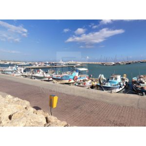 1,047m² Plot for Sale in Zygi, Larnaca District