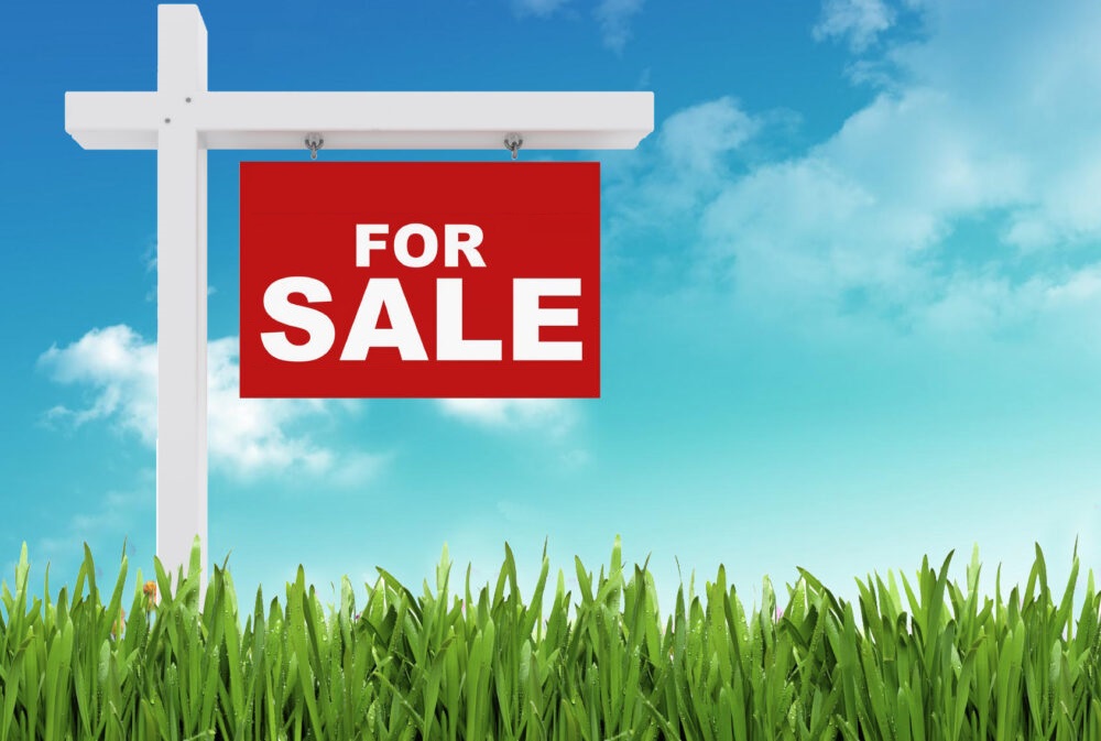 Land for Sale in Kouklia, Paphos District