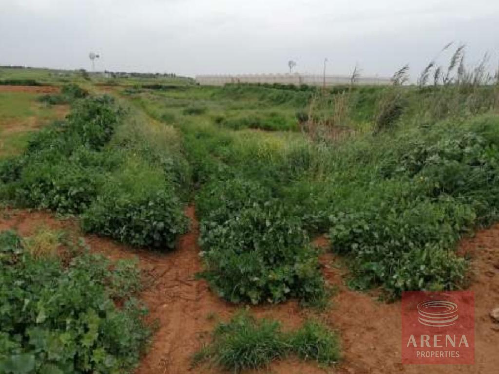 8,930m² Land for Sale in Sotira, Famagusta District