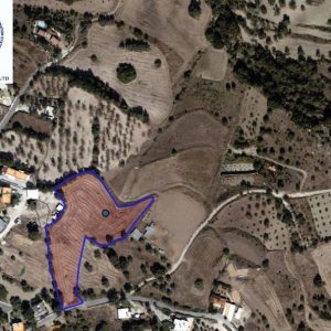 9,030m² Plot for Sale in Simou, Paphos District