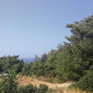 9,365m² Plot for Sale in Neo Chorio Pafou, Paphos District