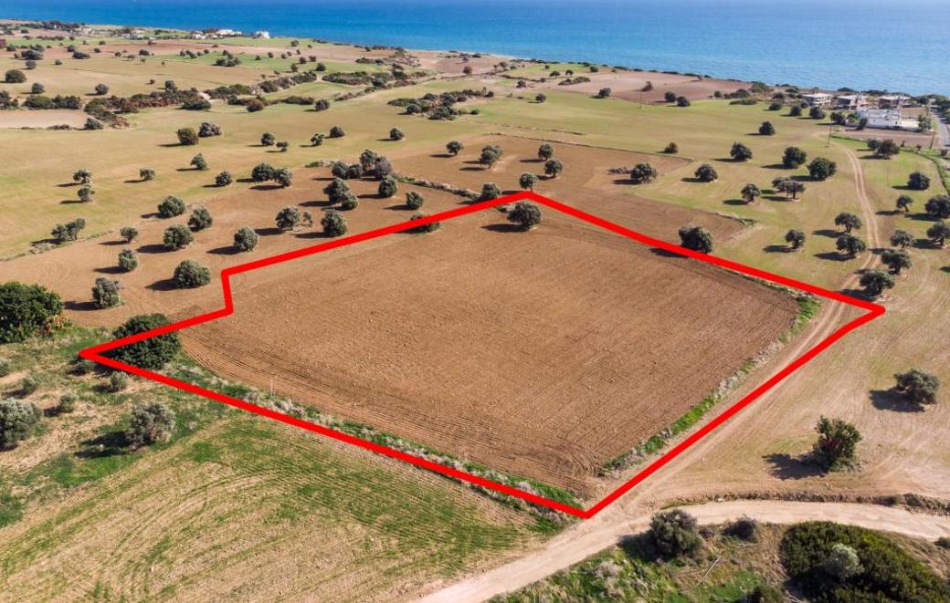 7,024m² Residential Plot for Sale in Agios Theodoros, Larnaca District