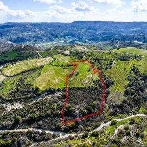 12,041m² Plot for Sale in Salamiou, Paphos District