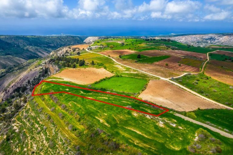 4,480m² Commercial Plot for Sale in Pano Arodes, Paphos District