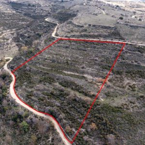 17,504m² Commercial Plot for Sale in Arsos, Limassol District