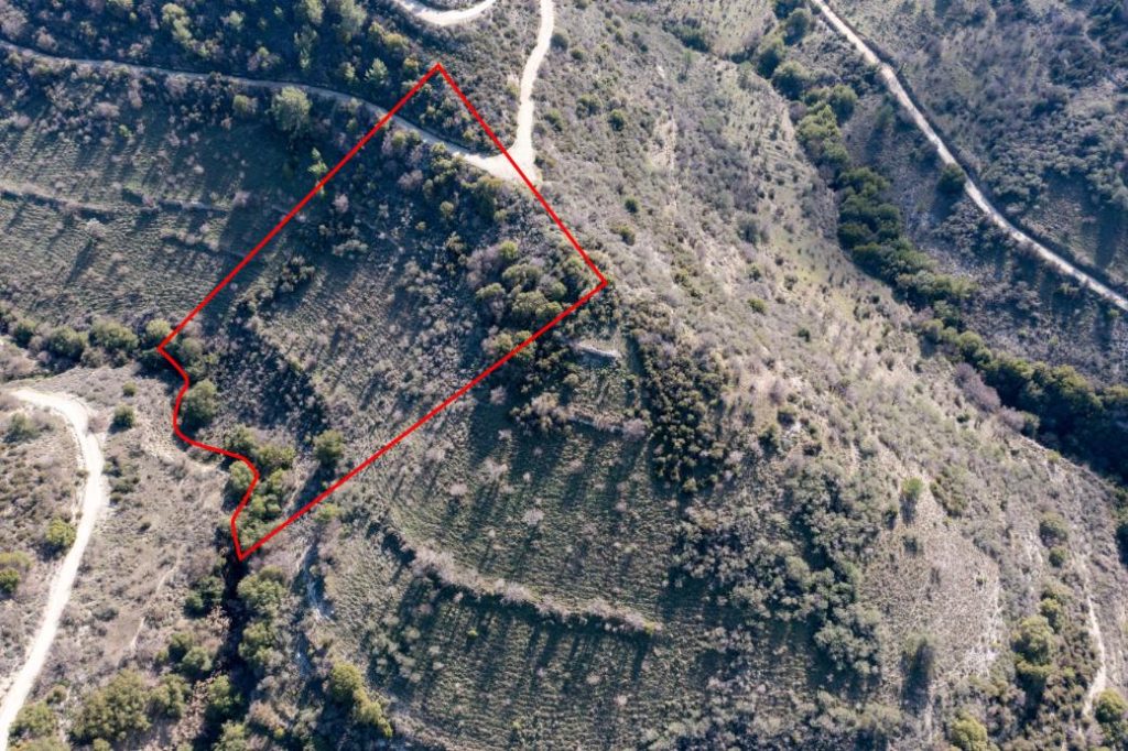 10,703m² Plot for Sale in Dora, Limassol District