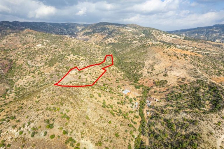 20,068m² Commercial Plot for Sale in Pegeia, Paphos District