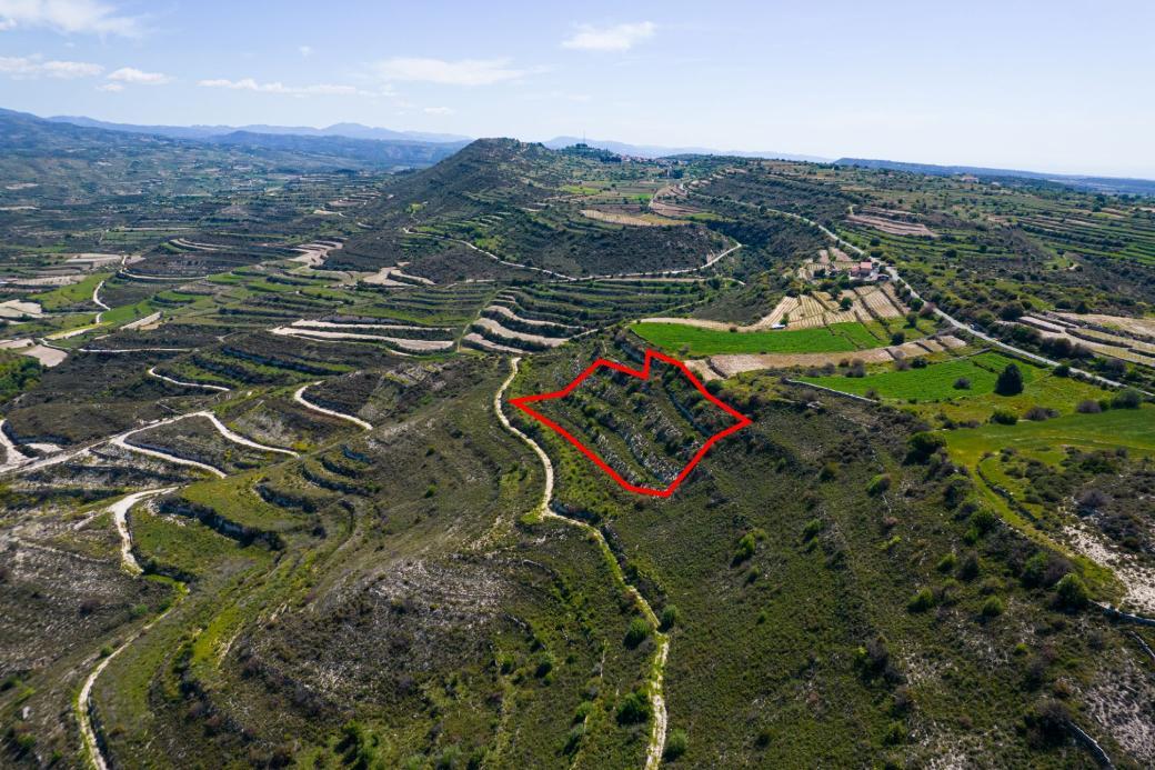 8,504m² Commercial Plot for Sale in Pachna, Limassol District