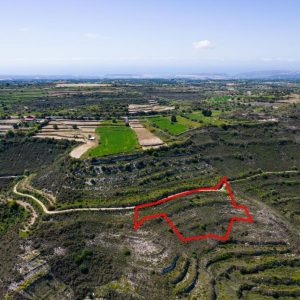 3,805m² Commercial Plot for Sale in Pachna, Limassol District