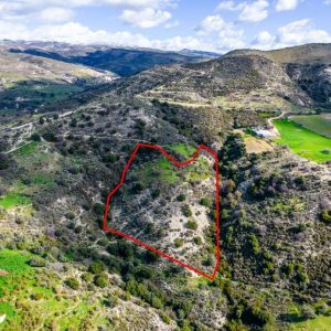 17,392m² Plot for Sale in Dora, Limassol District