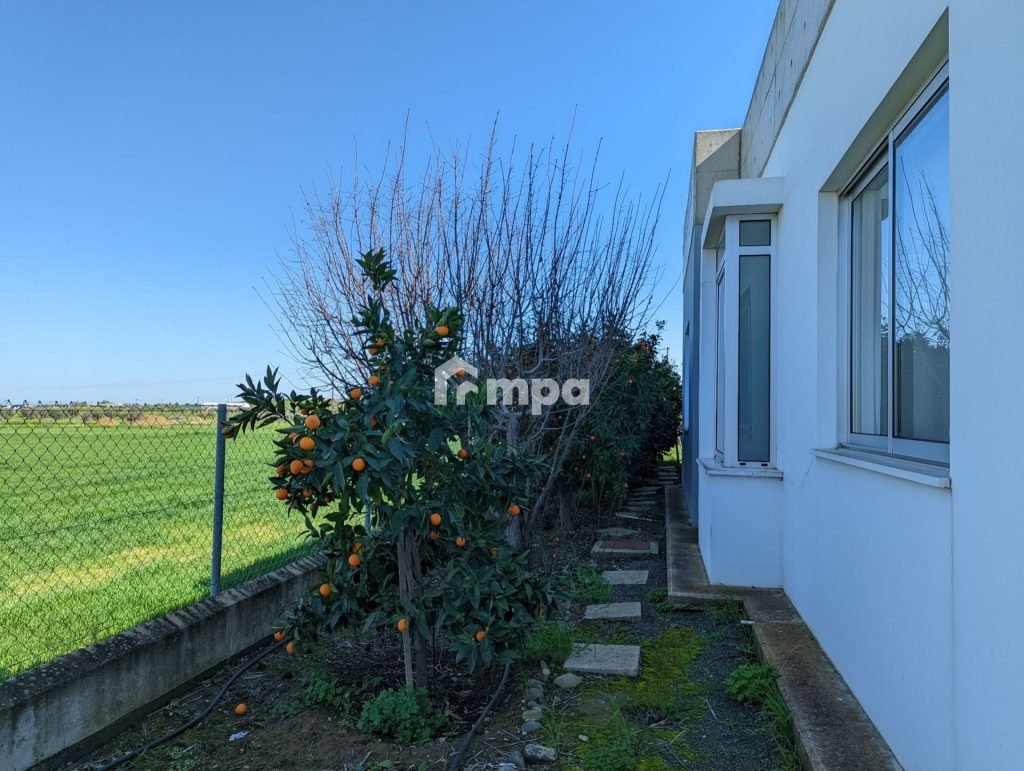 3 Bedroom House for Rent in Psimolofou, Nicosia District