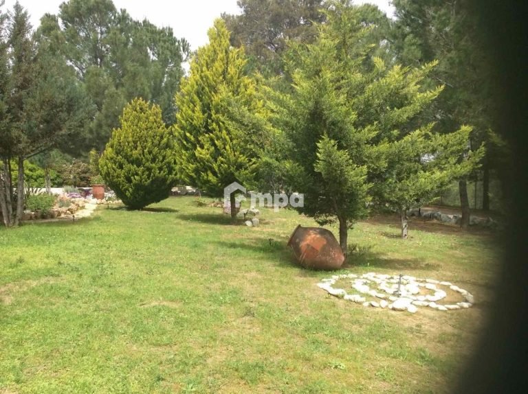 Cheap Houses and Villas for Sale Nicosia up to 800000 euro