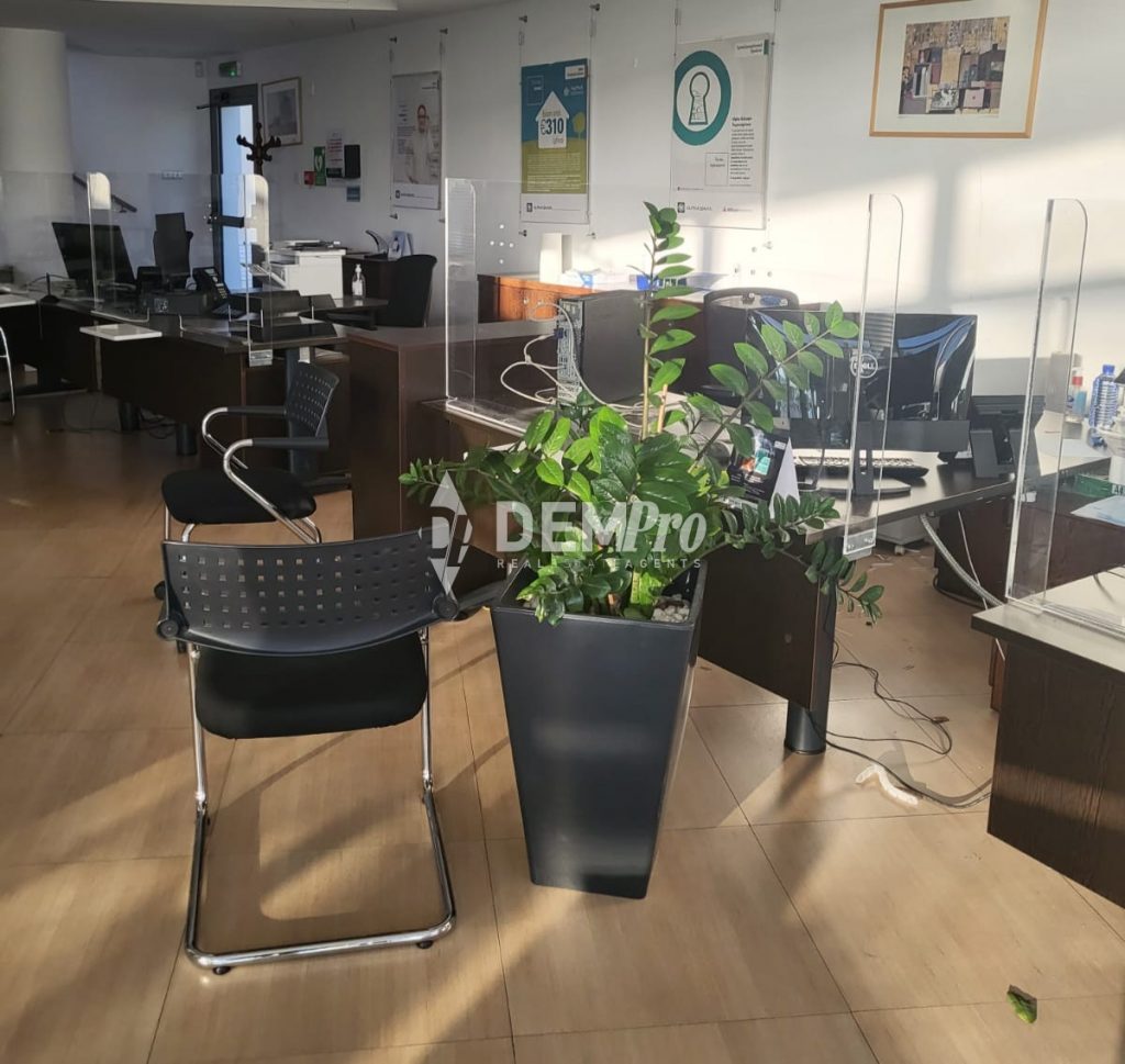350m² Office for Rent in Paphos – City Center