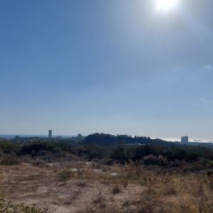 804m² Plot for Sale in Germasogeia, Limassol District