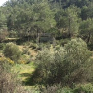 10,233m² Plot for Sale in Lythrodontas, Nicosia District