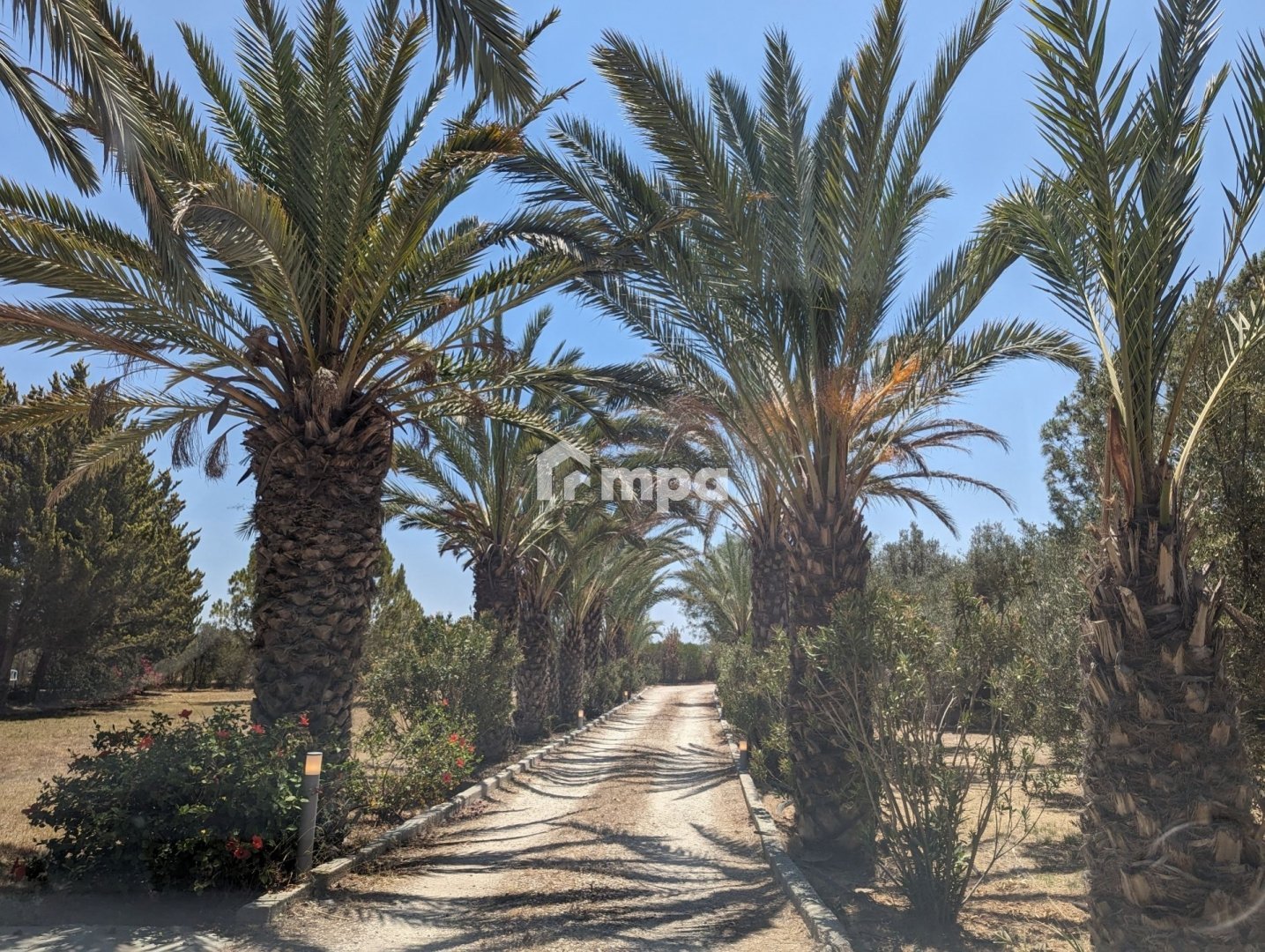 6+ Bedroom House for Sale in Ergates, Nicosia District