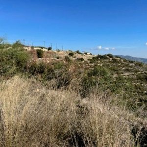 16,940m² Plot for Sale in Mathikoloni, Limassol District