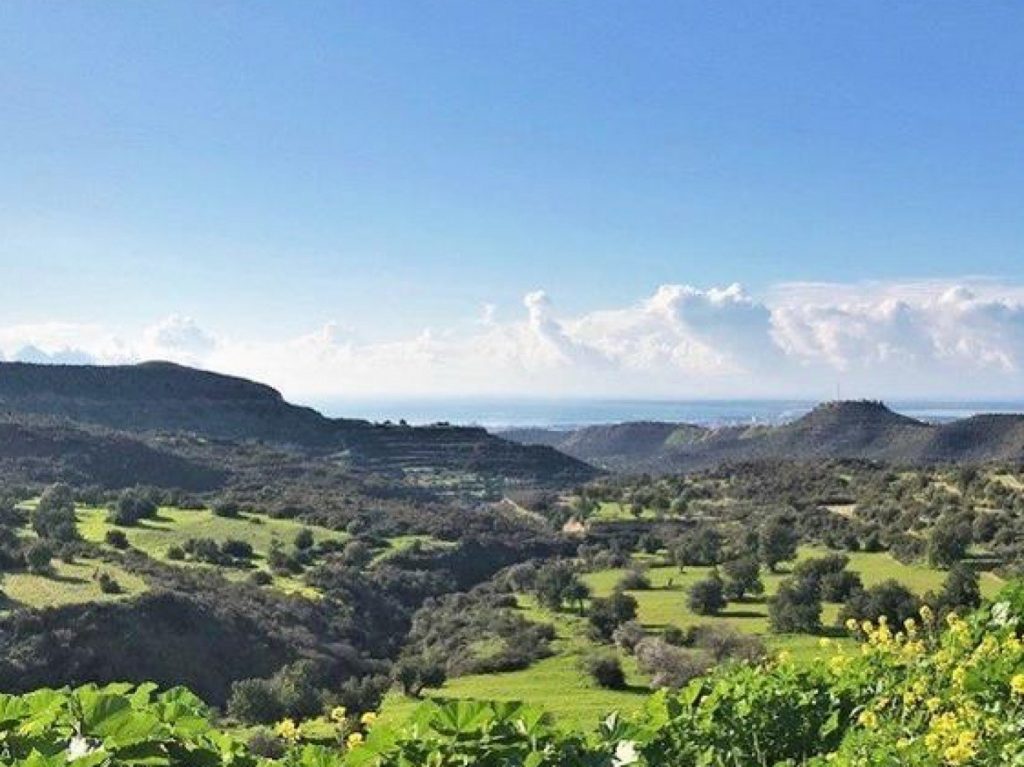 100,001m² Plot for Sale in Fasoula Lemesou, Limassol District