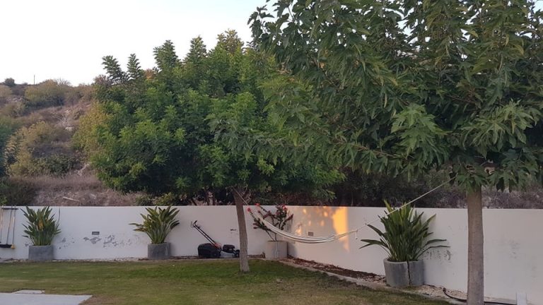 Σπίτι 4 Υπνοδωματίων προς Ενοικίαση στην Τσάδα, Επαρχία Πάφου