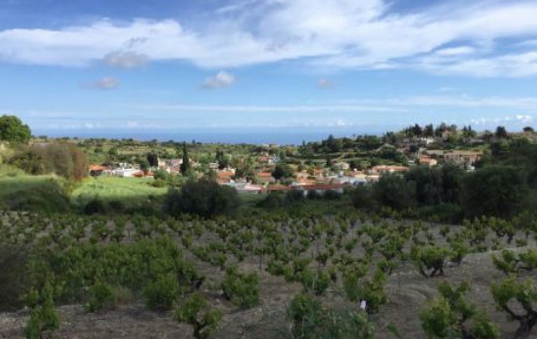 10,703m² Plot for Sale in Pachna, Limassol District