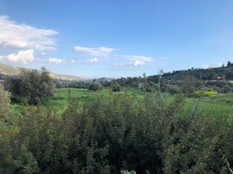 24,558m² Plot for Sale in Monagroulli, Limassol District