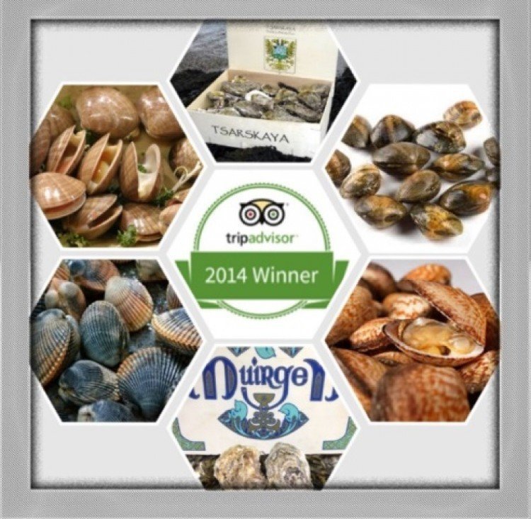 Commercial Properties