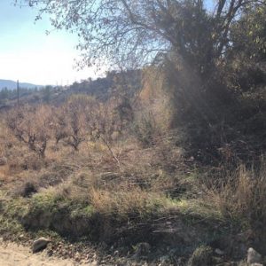 3,679m² Plot for Sale in Silikou, Limassol District