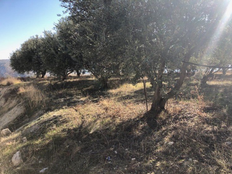 Plots of Land for Sale