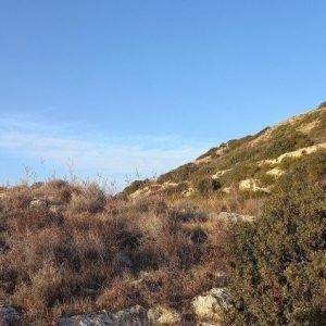 50,732m² Plot for Sale in Pissouri, Limassol District