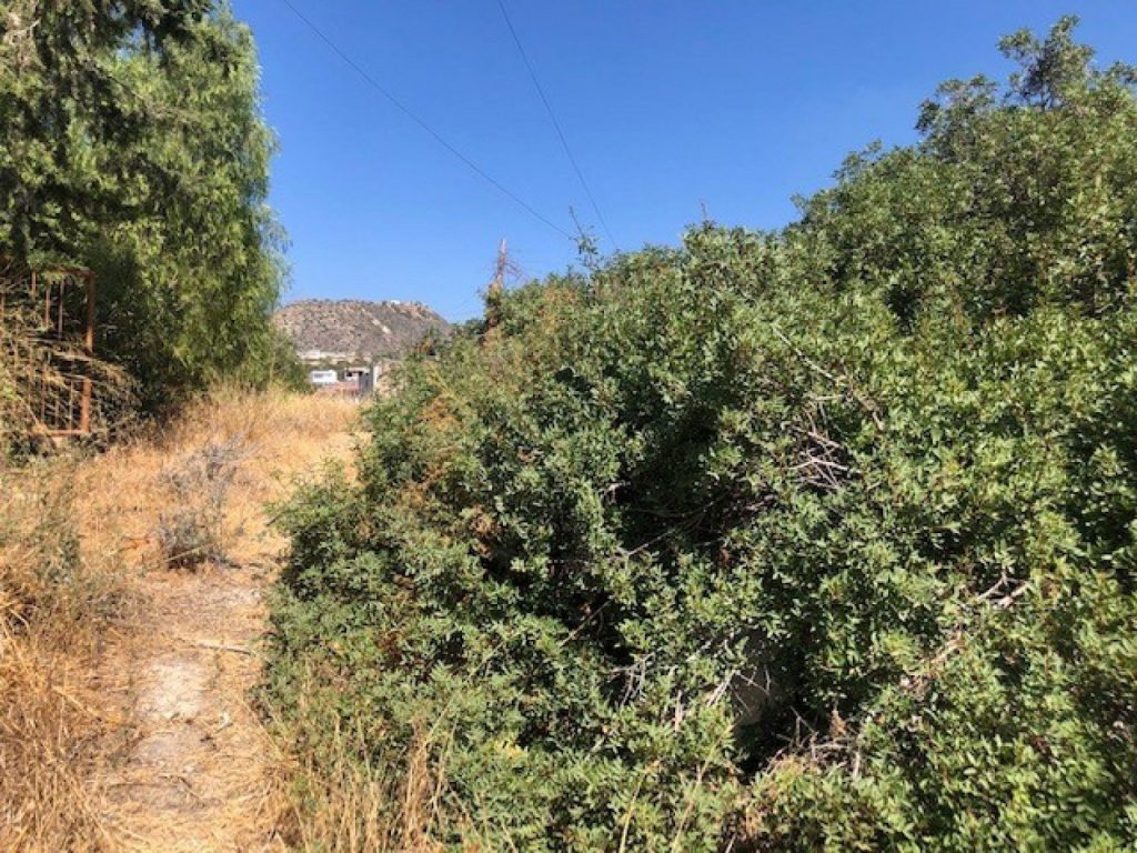 1,521m² Plot for Sale in Agia Paraskevi, Limassol District