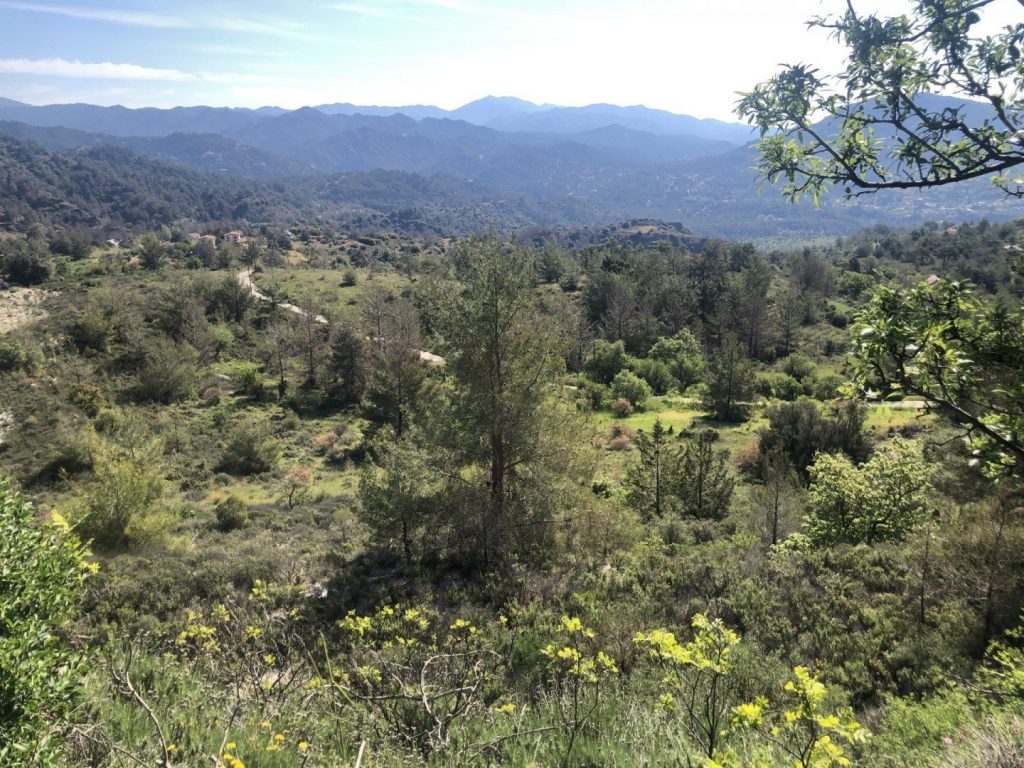 4,683m² Plot for Sale in Pera Pedi, Limassol District