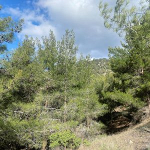 3,848m² Plot for Sale in Moniatis, Limassol District