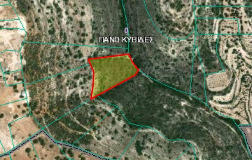 10,128m² Plot for Sale in Pano Kivides, Limassol District