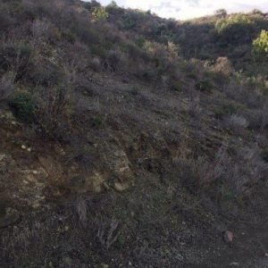 3,679m² Plot for Sale in Eptagoneia, Limassol District