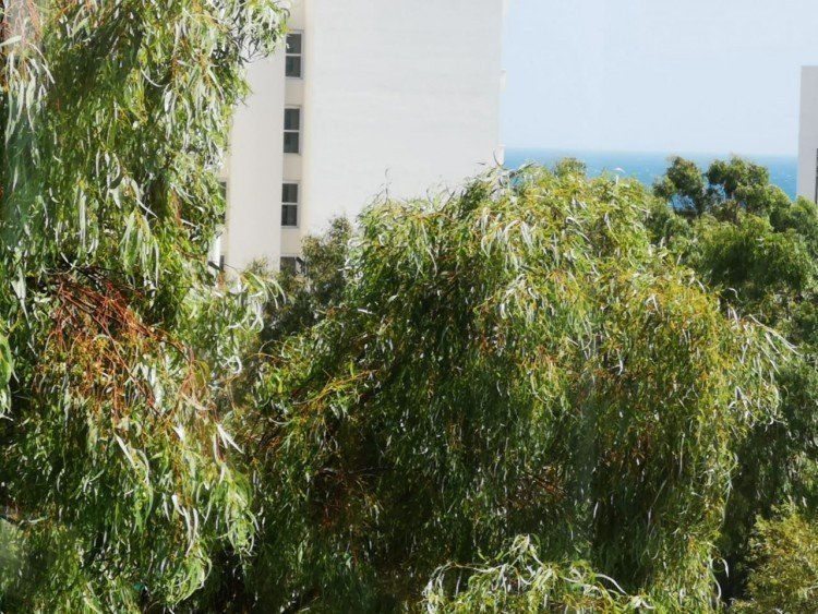 3 Bedroom Apartment for Sale in Potamos Germasogeias, Limassol District