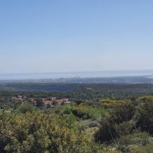 15,051m² Plot for Sale in Souni, Limassol District