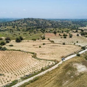 9,709m² Plot for Sale in Pachna, Limassol District